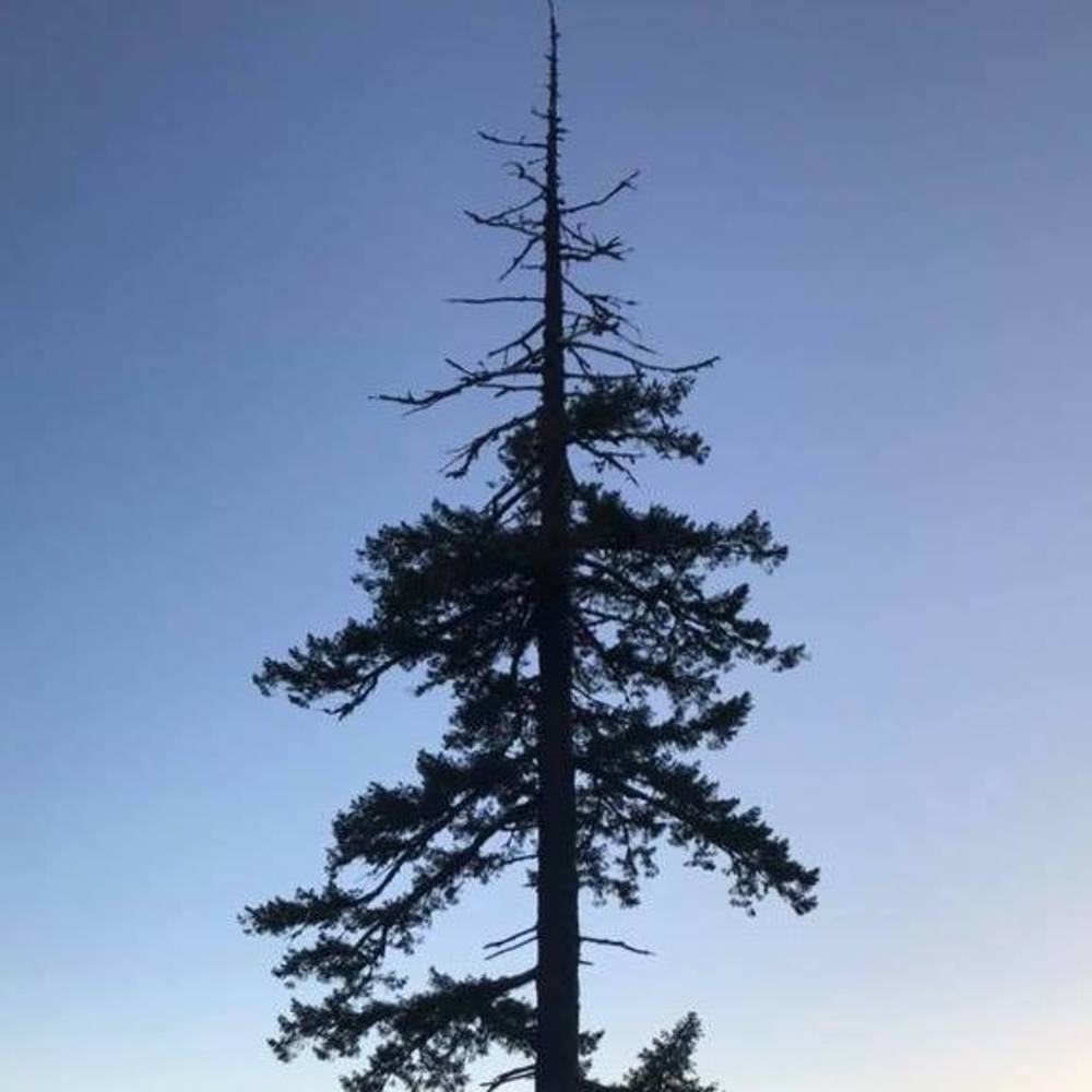 Meet your Posher, Heidi